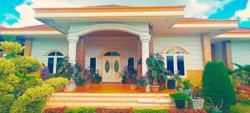 Tendean's Homestay in Tampusu - Housity