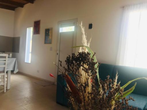 Casita en plottier - Housity