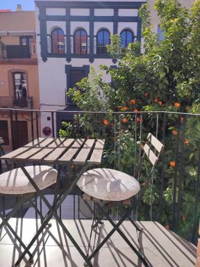 Loft House Triana - Housity