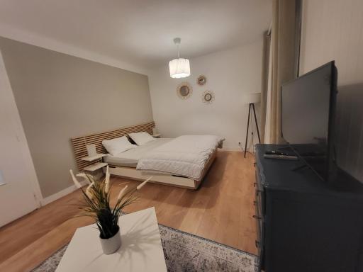 Appartement T1 bis 35m2 ANNECY proche centre ville REFAIT EN DECEMBRE 2021 - Housity
