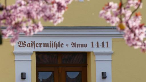 Pension Zur Mühle - Housity