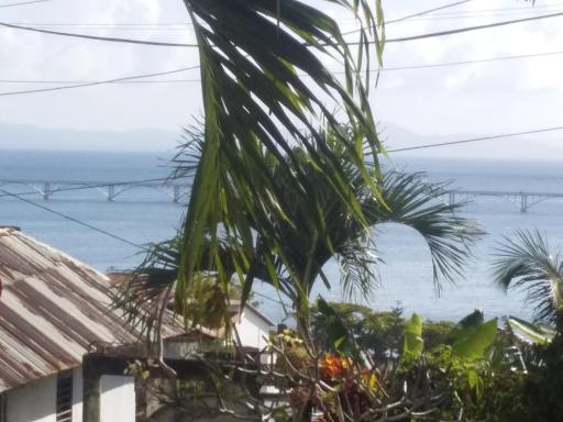 Room in Guest room - Best bed and breakfast in Samana Breakfast Included - Housity