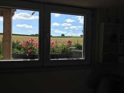 Chalet bois proche de la Dordogne, Eymet a 5 km - Housity