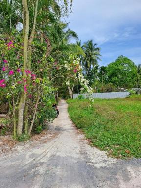 Lime homestay - Housity