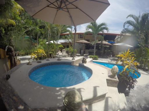 Coyaba Tropical Elegant Adult Guesthouse - Housity
