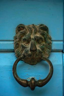 Guesthouse Lion - Housity