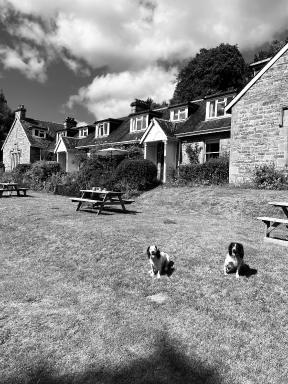 The Cnoc Hotel - Housity
