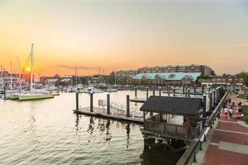 Newport Marriott Hotel & Spa - Housity