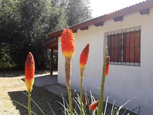 Los Manzanos - Housity