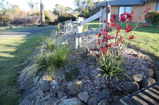Summit Rural peace10 mins from Launceston - Housity