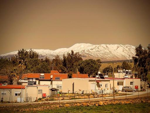 Luxury family caravan truck in the Golan Heights - Housity