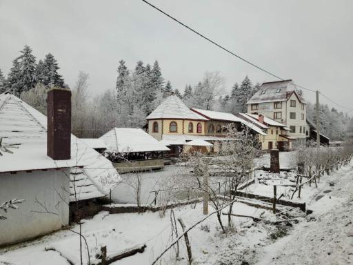 Ворота Карпат - Housity