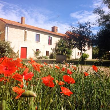 Au repos des elfes - Housity