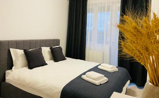 Q Home Apartment - Palas Center - Housity