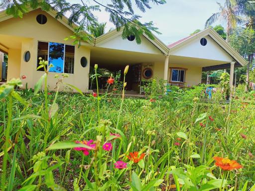 La Isla Bonita Siquijor Camping site - Housity