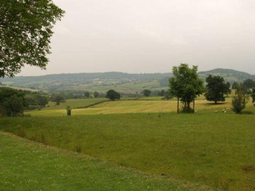 Treowen - Housity