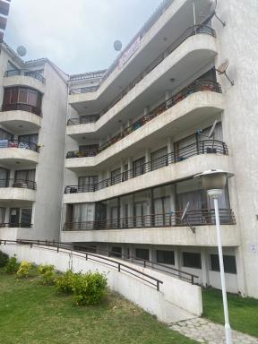 Queltehue - Housity