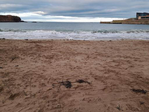 Charming Eyemouth apartment close the beach - Housity