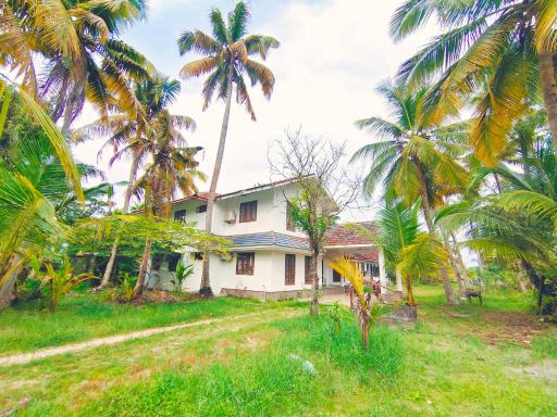 White Sands Homestay - Housity