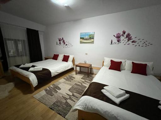 Pensiunea Aurora Vartop - Housity