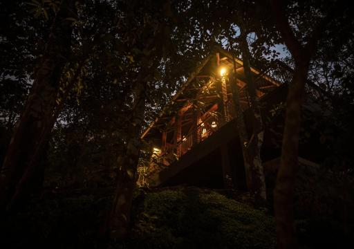 Chembarathi Wayanad Boutique Resort - Housity