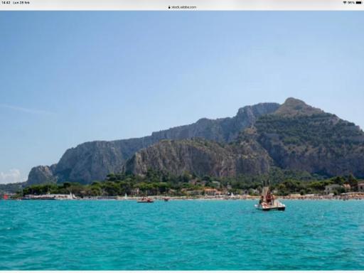 Ashur mondello - Housity