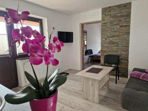 Apartamenty u Krystyny - Housity
