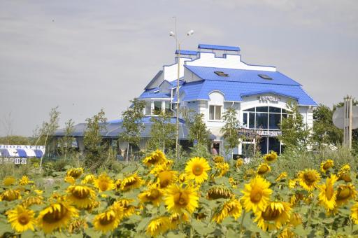 Hotel Vivat Provincia - Housity