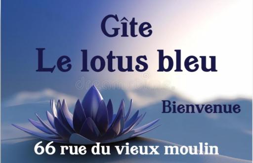 Maison de campagne dans le vignoble champenois - Housity