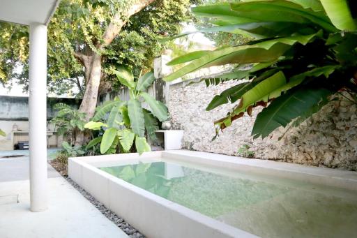 Beautiful Casa Visit Merida Yucatan as a local - Housity