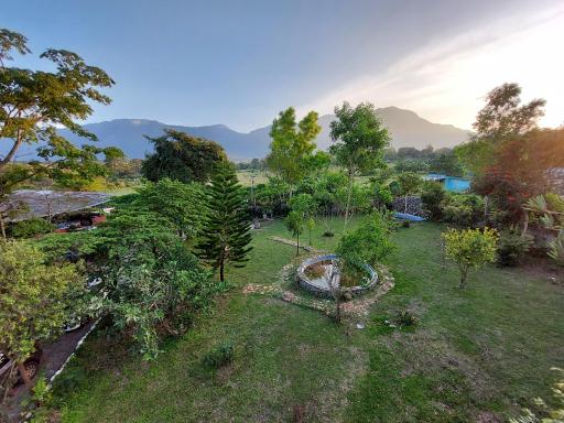 THE TIGER PAW RESORT - Housity