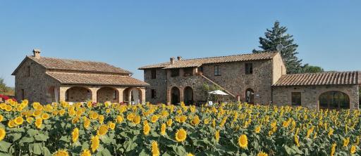 Casetta della Pina - Housity