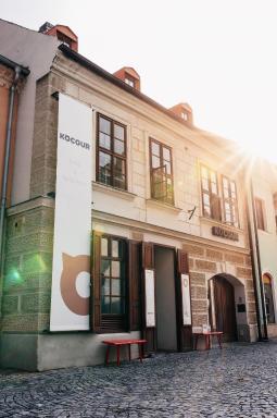 Hotel Kocour - Housity