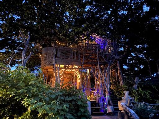 Mizuno San's Tree House - Housity