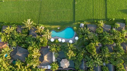 Arya Villas Ubud - Hizvo