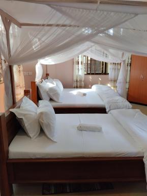 Friend's of manyara wildlife, campsite & lodge - Housity