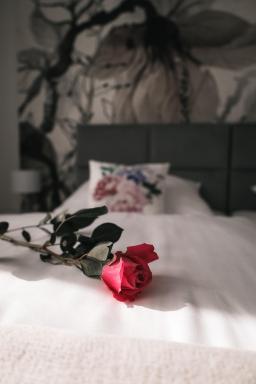 Apartament Komfort - Housity
