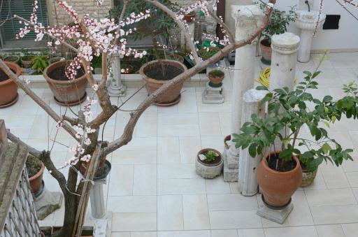 Alloggi Barbaria - Housity