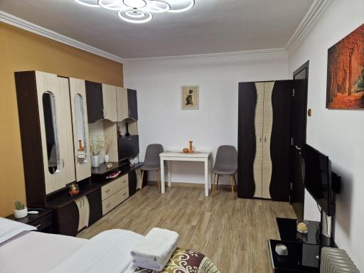 Garsoniera - Housity