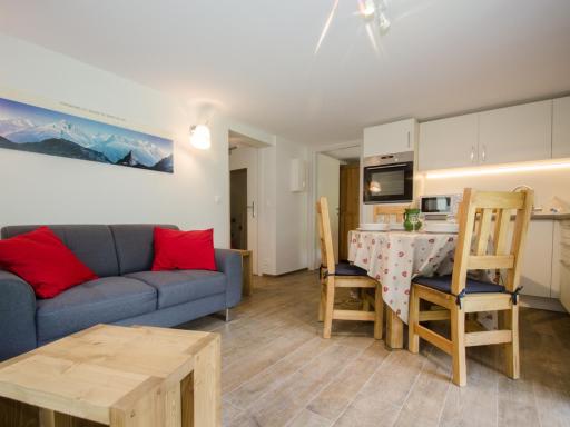 Charmant T3 rénové avec jardin, parking & wifi à Chamonix - FR-1-343-206 - Housity