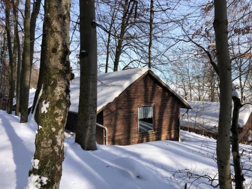 Schwedische Winter Hütte unter Buchen - Housity
