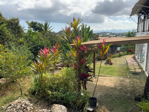 L'EXOTIK 2 - Housity