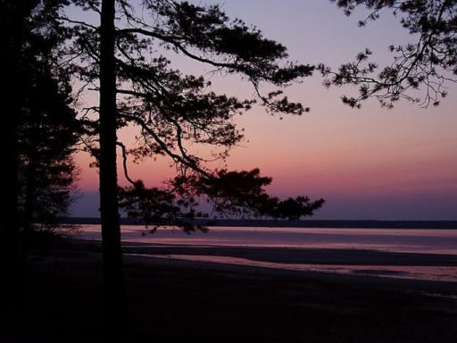 Hiirevända Holiday House - Housity