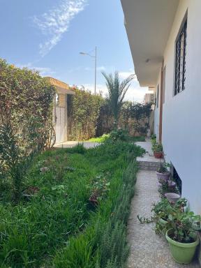 Bel Appartement à Proximité de la Gare Routière - Housity