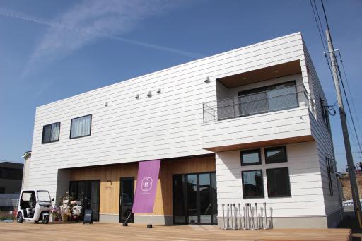 Matoi Hostel &amp; Bar - Housity