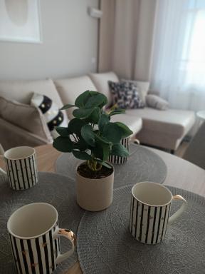 Apartament Emili VIPOO - Housity