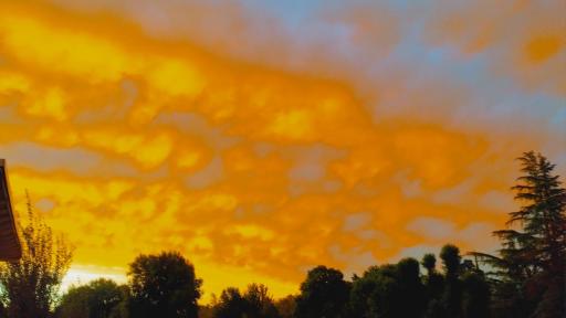 Orange - Housity