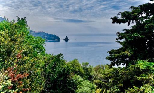 Aphrodite Apartments - Housity