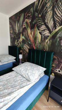Apartament Stylowy - Housity