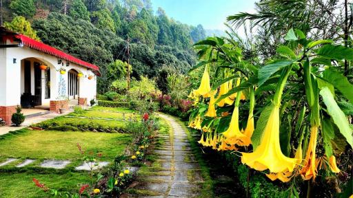 Just Naturals Wellness Resort Nainital - Housity